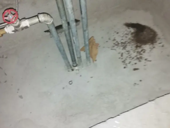 市北卫生间测漏水价格明细