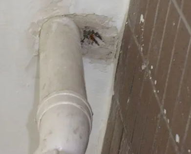 市北漏水检测哪家好